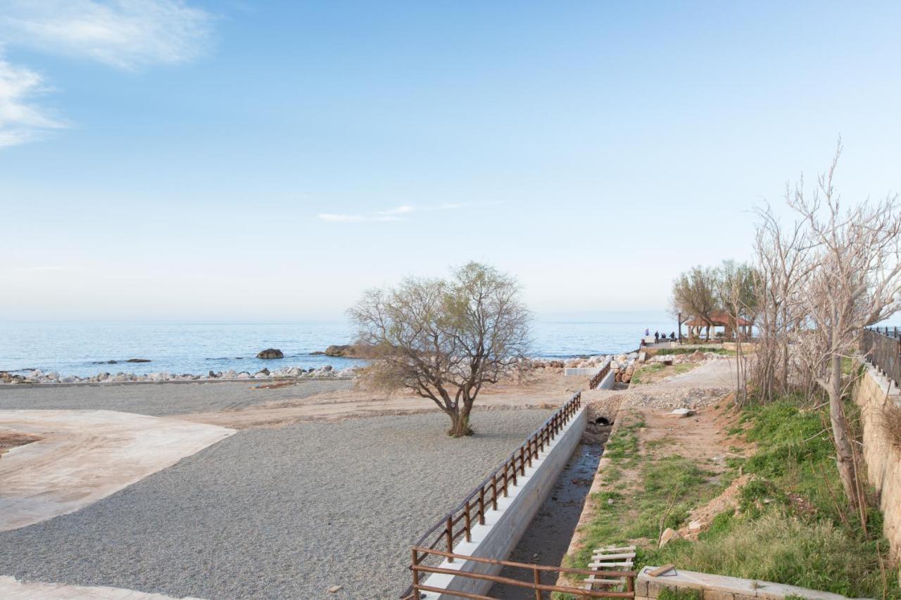 Spyridon Apartment In Chania ハニア エクステリア 写真